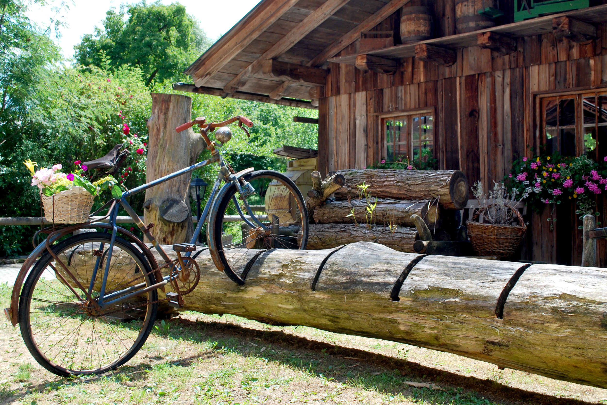 Urlaub im Bayerischen Wald - Freizeit- und Ausflugstipps